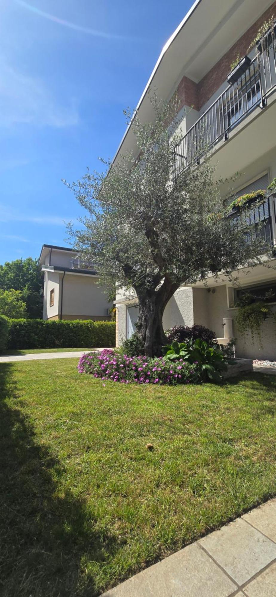 Villa Ca' Olivo à Mogliano Veneto Extérieur photo